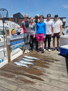 Fresh caught Coho salmon displayed on fishing charter dock in Port Washington Wisconsin