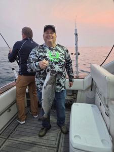 Chinook salmon caught fishing in Port Washington WI