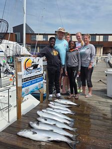 Successful fishing charter displaying fresh caught Chinook salmon on dock in Port Washington WI