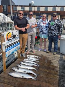 Successful fishing charter displaying multiple chinook salmon caught in Port Washington WI on marina dock