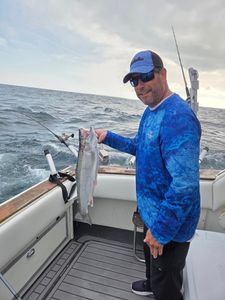 Fresh caught Coho Salmon displayed on fishing boat in Port Washington WI