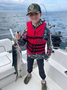 Coho salmon catch on fishing boat in Port Washington WI