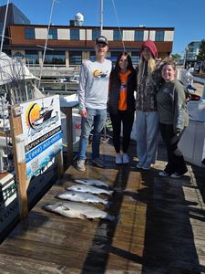 Fresh caught coho salmon displayed on dock at Port Washington WI marina