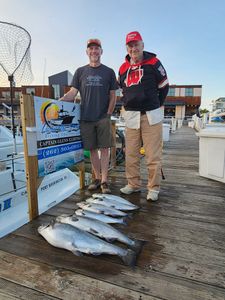 Successful fishing trip displaying multiple salmon and other fish species on dock in Port Washington WI