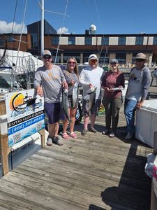 Successful fishing charter in Port Washington WI displaying caught Chinook and Coho salmon on dock
