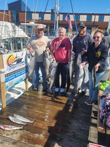 Successful fishing trip displaying caught Chinook and Coho salmon on dock in Port Washington WI