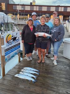 Successful fishing charter in Port Washington WI showing caught Coho Salmon and Rainbow Trout on dock