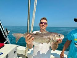 Lots of 20+ inch haddock this summer!