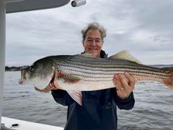 Striped bass caught in Essex during fishing tour