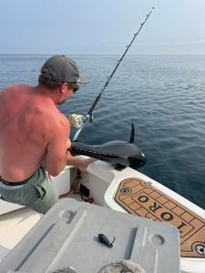 Two anglers fishing in Essex, UK