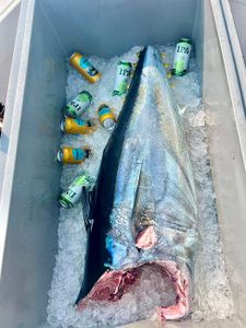 Fishing adventure in MA