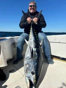 A fisherman holds a large yellowfin tuna in Essex.