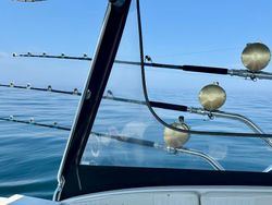 Scenic fishing tour in MA