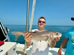 A single snook fish caught fishing in Essex