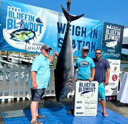Two yellowfin tuna fish caught on fishing tour in MA