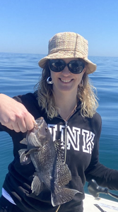 Caught a 12-inch sea bass while fishing in NJ