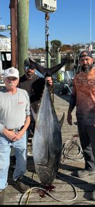Little Tunny fish caught while fishing in NJ