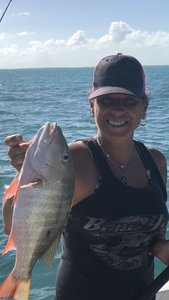 Mutton Snapper, a 16-inch fish, caught while fishing in NJ
