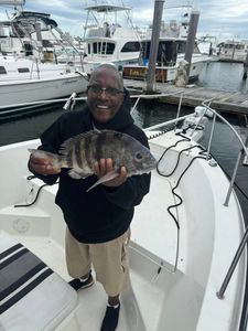 Sheepshead fish caught while fishing in Atlantic City