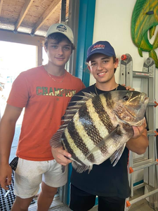 Sheepshead fish caught while fishing in NJ