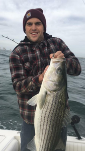 A single striped bass caught during fishing in Atlantic City