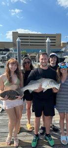 Striped bass caught while fishing in NJ