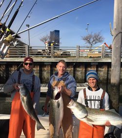 3 striped bass caught fishing in NJ