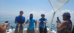 Fish-Species
