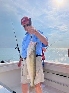 Fish-Species