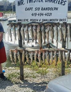 13 bluefish caught on fishing trip in OH