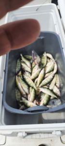 Fishing adventure in OH
