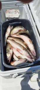 Angler fishing in Ohio