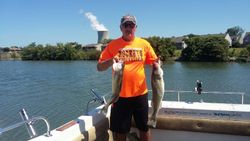 Two fishing rods with a beautiful lake and trees in the background in Oak Harbor