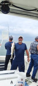 One squeteague fish caught in Oak Harbor