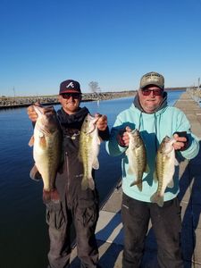 Bass Fishing in Guntersville, AL