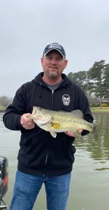 Largemouth Bass in Guntersville, AL