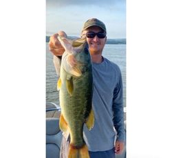 Bass trophy in in Lake Guntersville  fishing