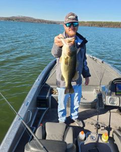 Cast, Catch, Create Memories In Guntersville