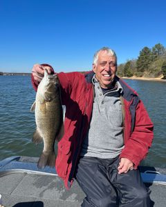 Bass Fishing In Guntersville