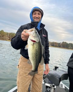 Guntersville Bass Odyssey