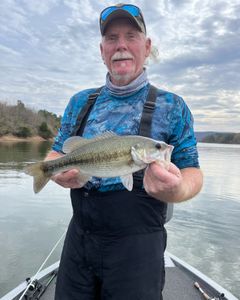 Guntersville: Bass Chronicles Unfold on the Line.