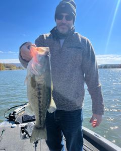 Guntersville Bass: Reel Thrills Await!