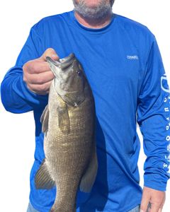 Bass Fever: Guntersville's Finest on the Line!