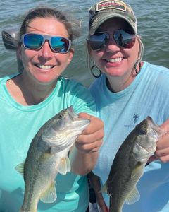 Reeled In Plenty of Bass in Alabama