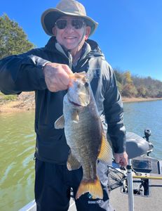 Lure of Guntersville: Bass Ballet in the Waters.