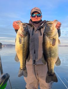  Casting, Striking, Bass Glory In Guntersville