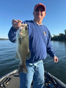 Angler catching a Florida bass in Guntersville