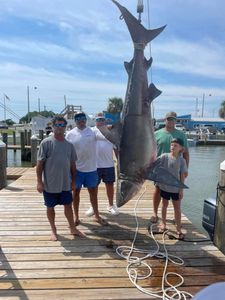 A group of 6 people fishing on the shore at Dauphin Island