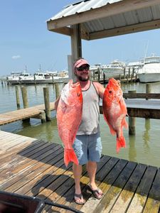 2 big fish caught while fishing at Dauphin Island