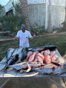 3 Blackfin Tuna, fishing in AL